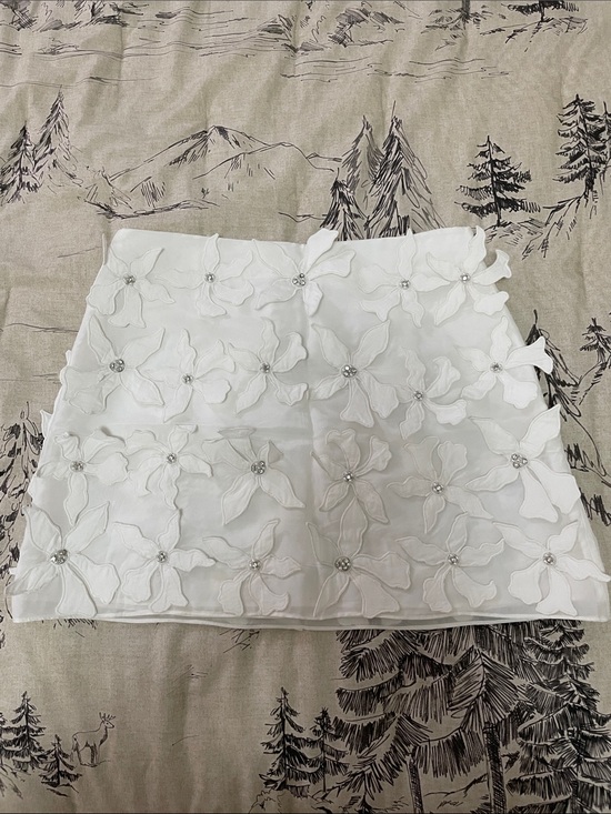 Zara Dresses & Skirts - Zara White Mini Appliqué Skirt S NWOT